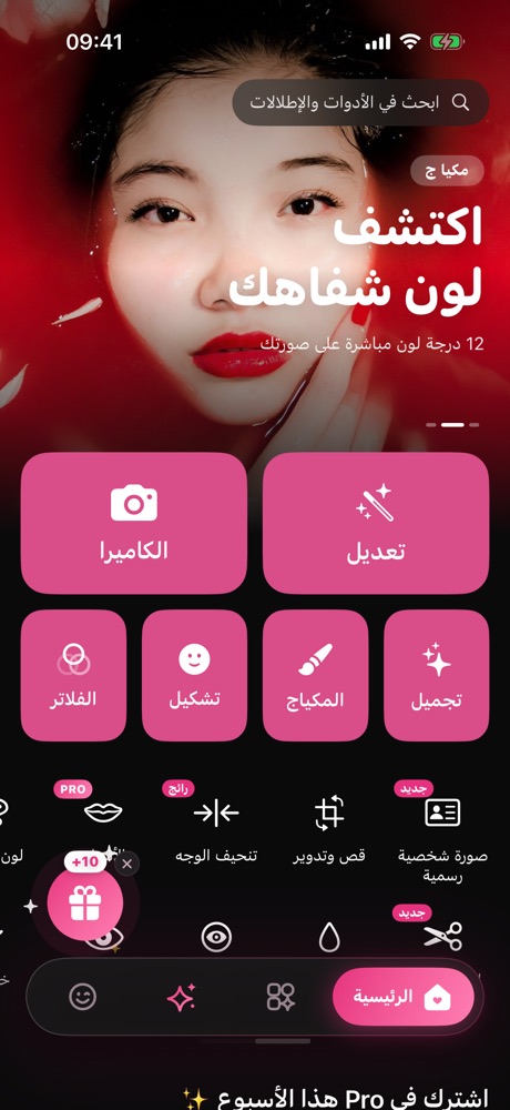 الرئيسية